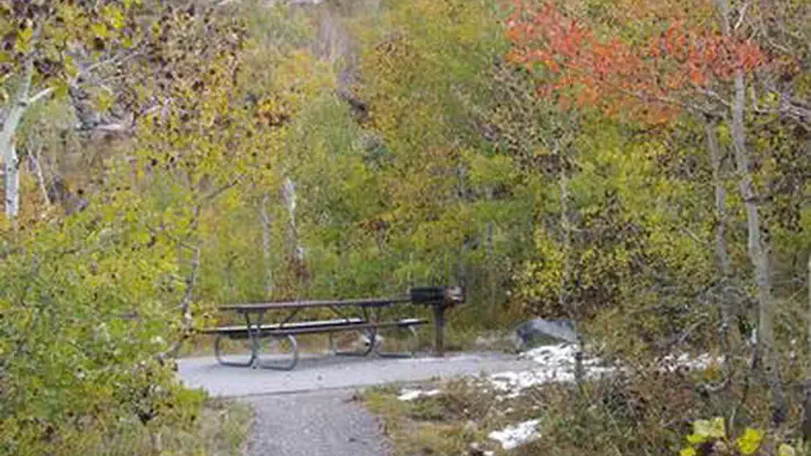 TERRACES CAMPGROUND - PICNIC AREA