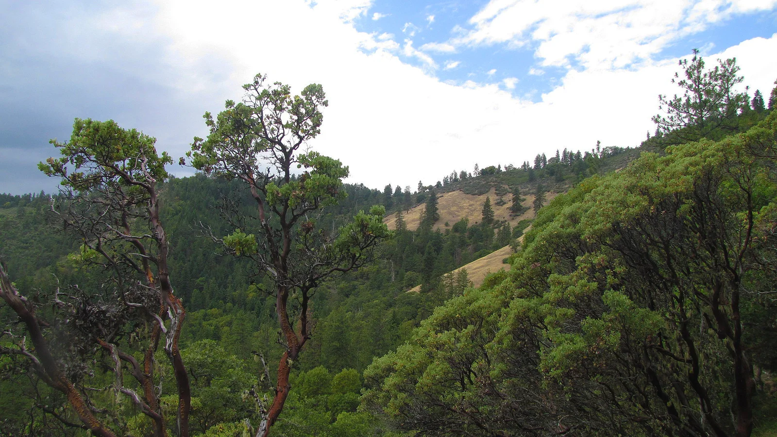 Sterling Mine Ditch Trail