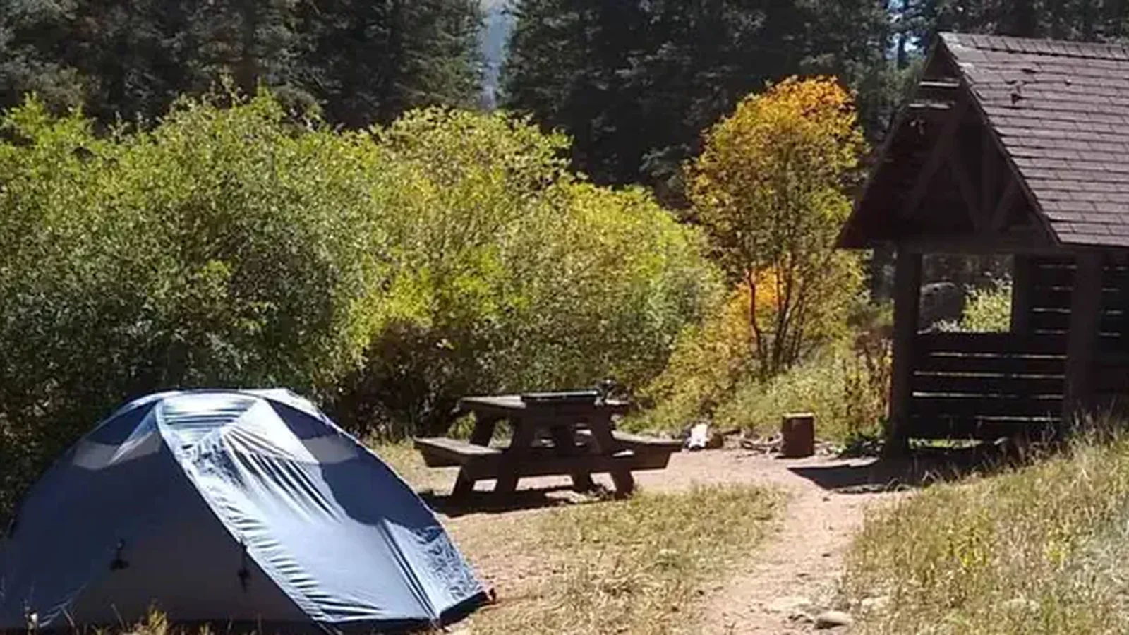 A sheltered site with a tent, picnic table, and fire place with fall foliage and pines in the background.