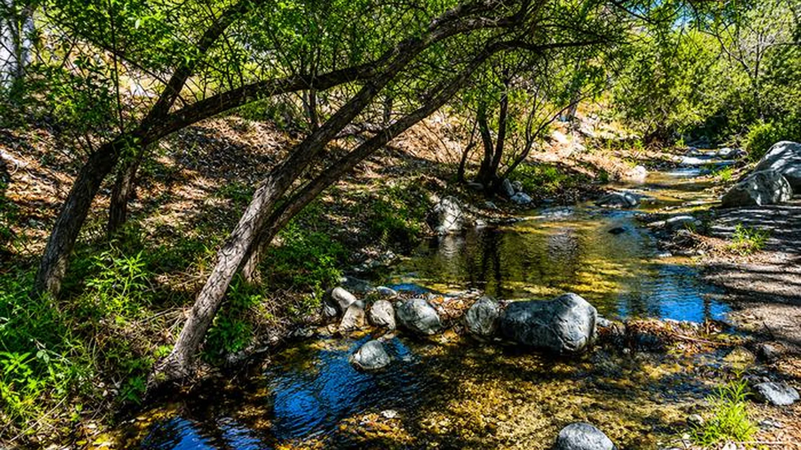 Seasonal stream