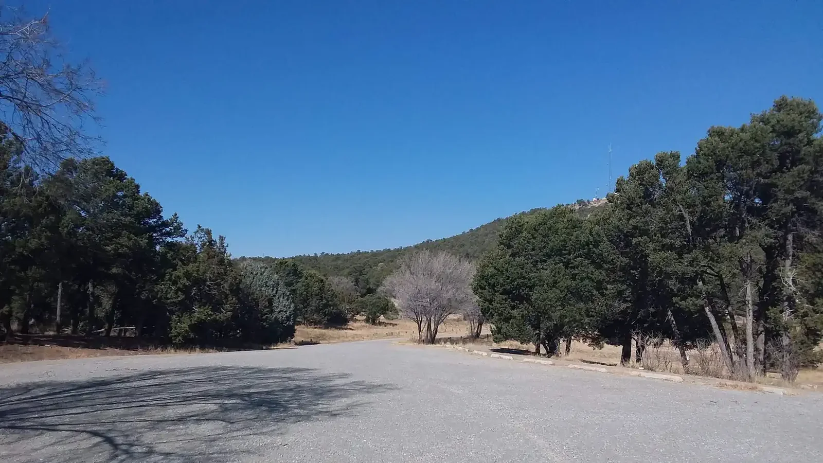 Cedro Peak Campground mountain view