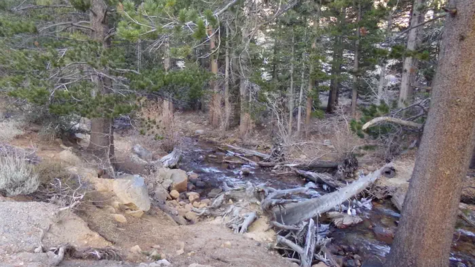 Palisades Group Campground