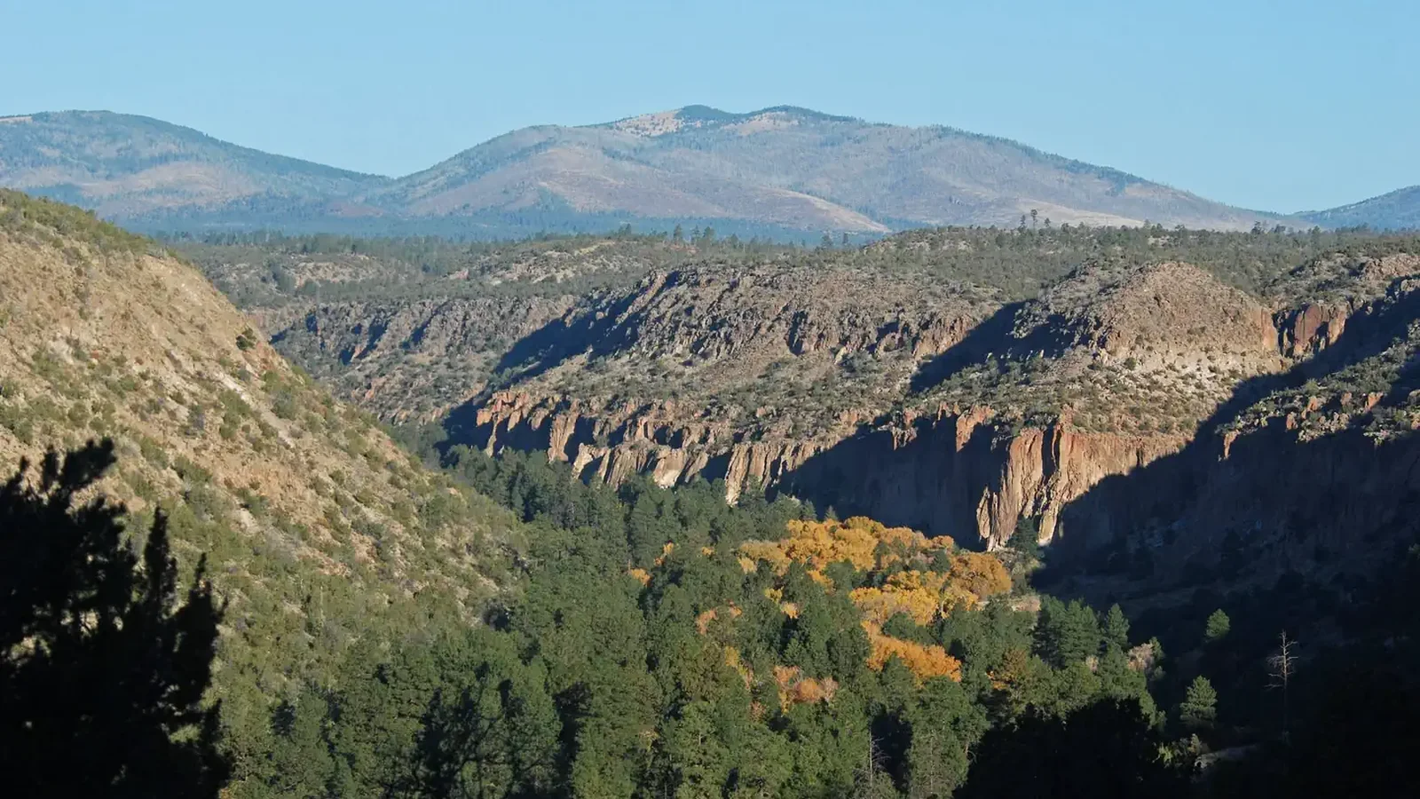 A canyon with trees changing color and mountains in the distance.