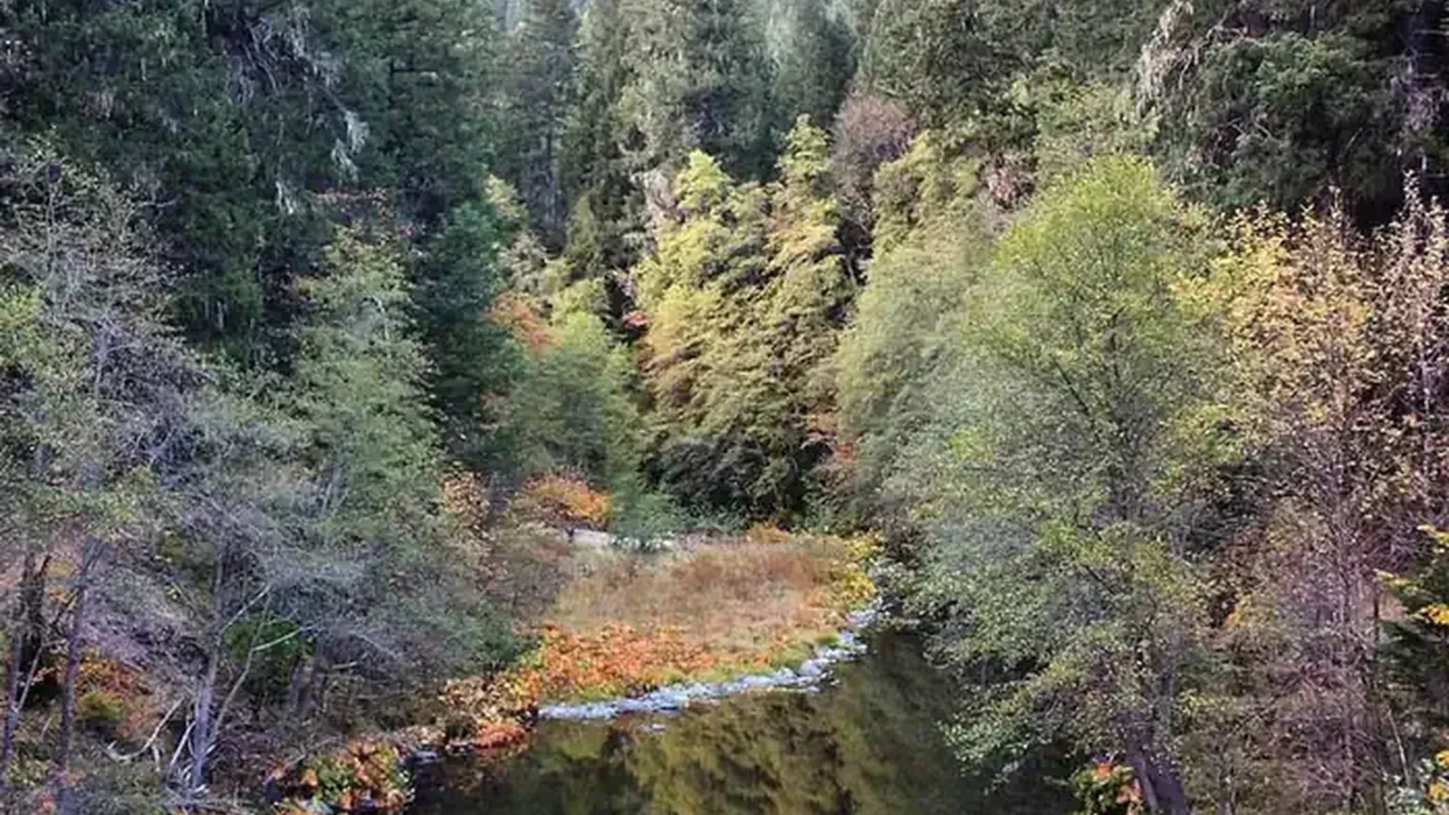 River with fall foliage.