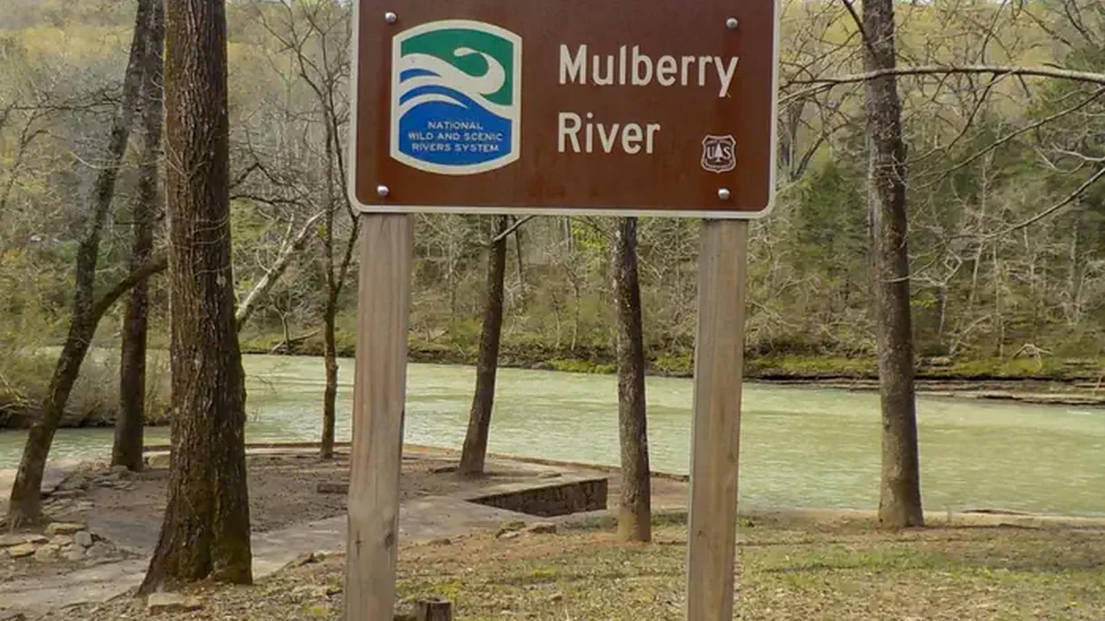 Mulberry WSR