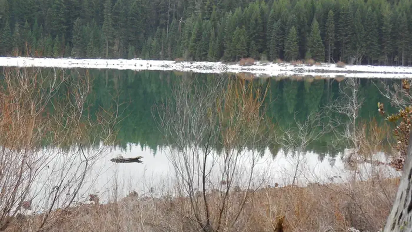 Fish Lake