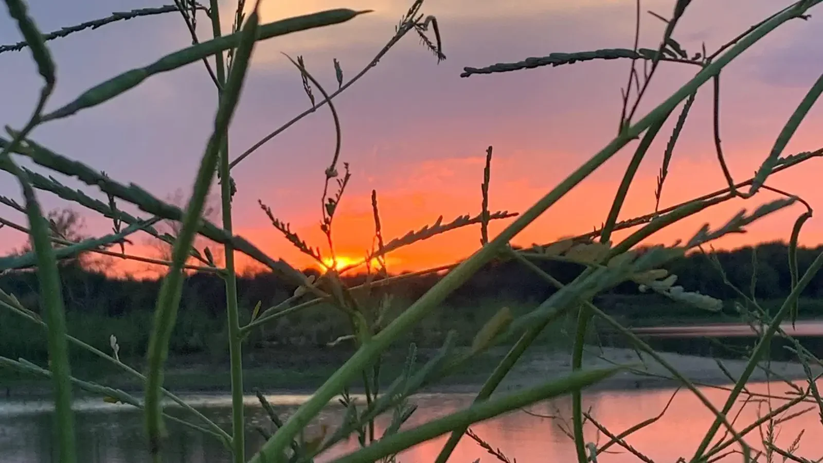 Sunset view at Speegleville