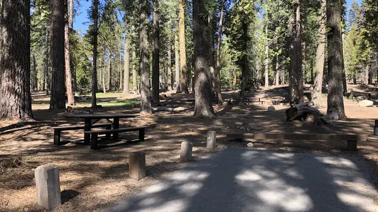 A photo of facility DINKEY CREEK with Picnic Table, Fire Pit
