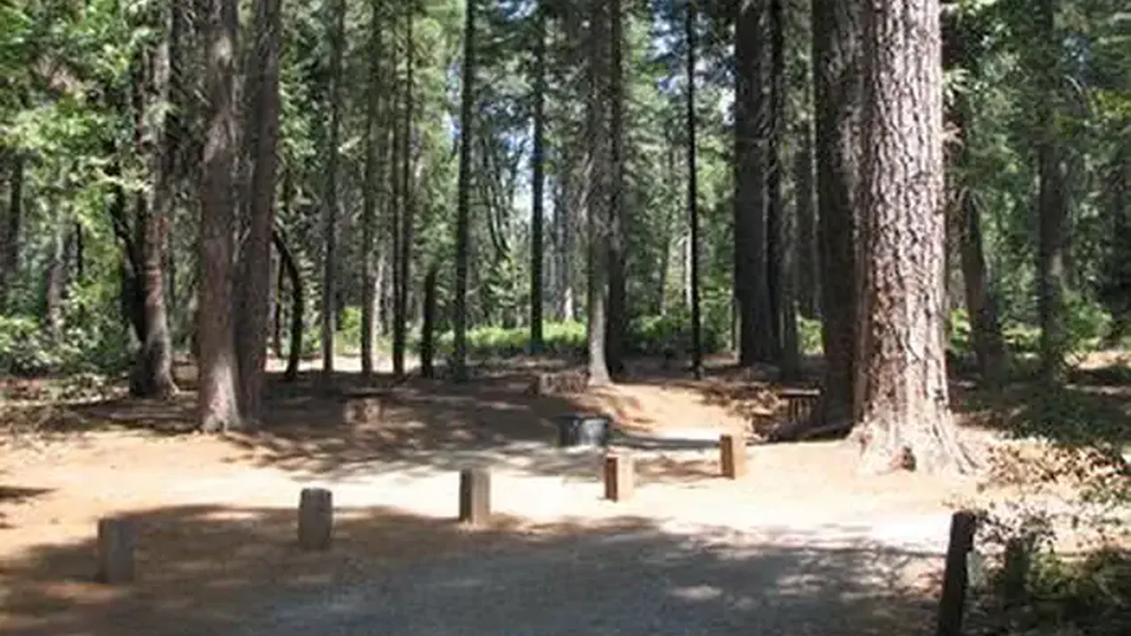 STUMPY MEADOWS