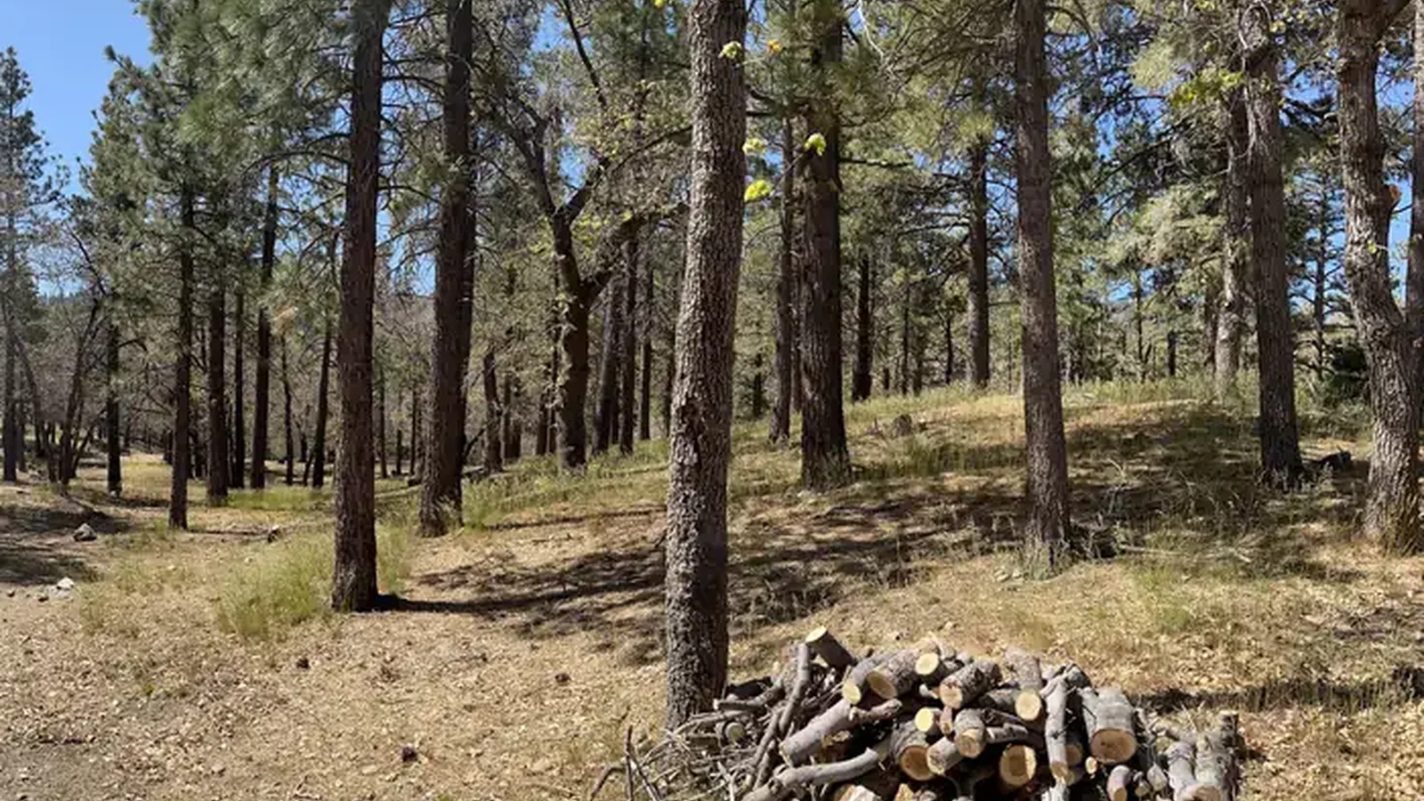 Mountain Oak Campground 2