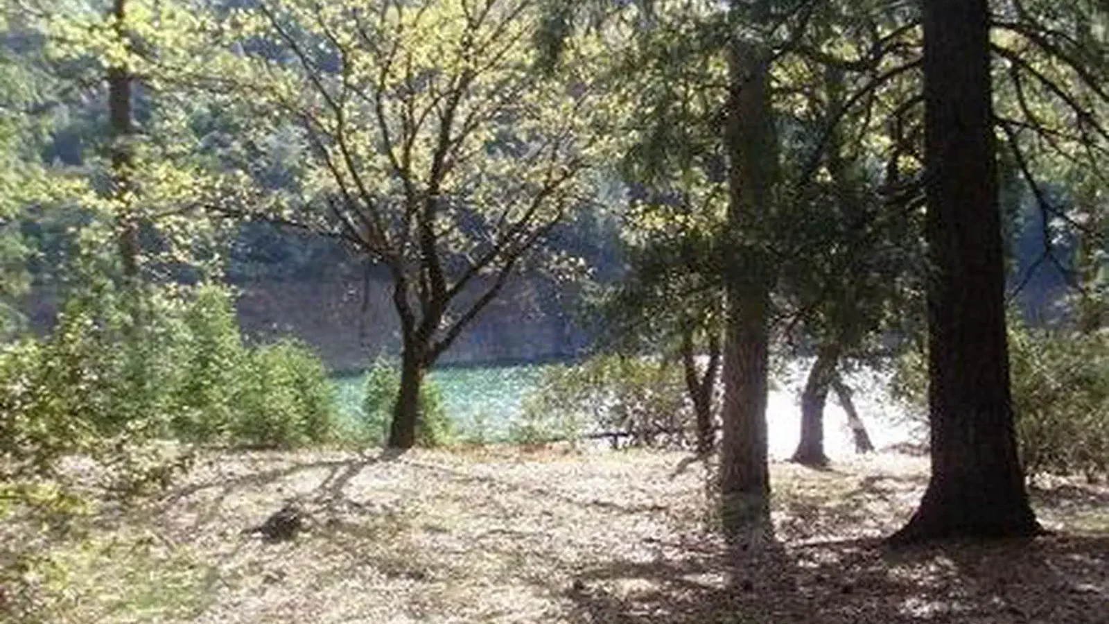 MOORE CREEK
