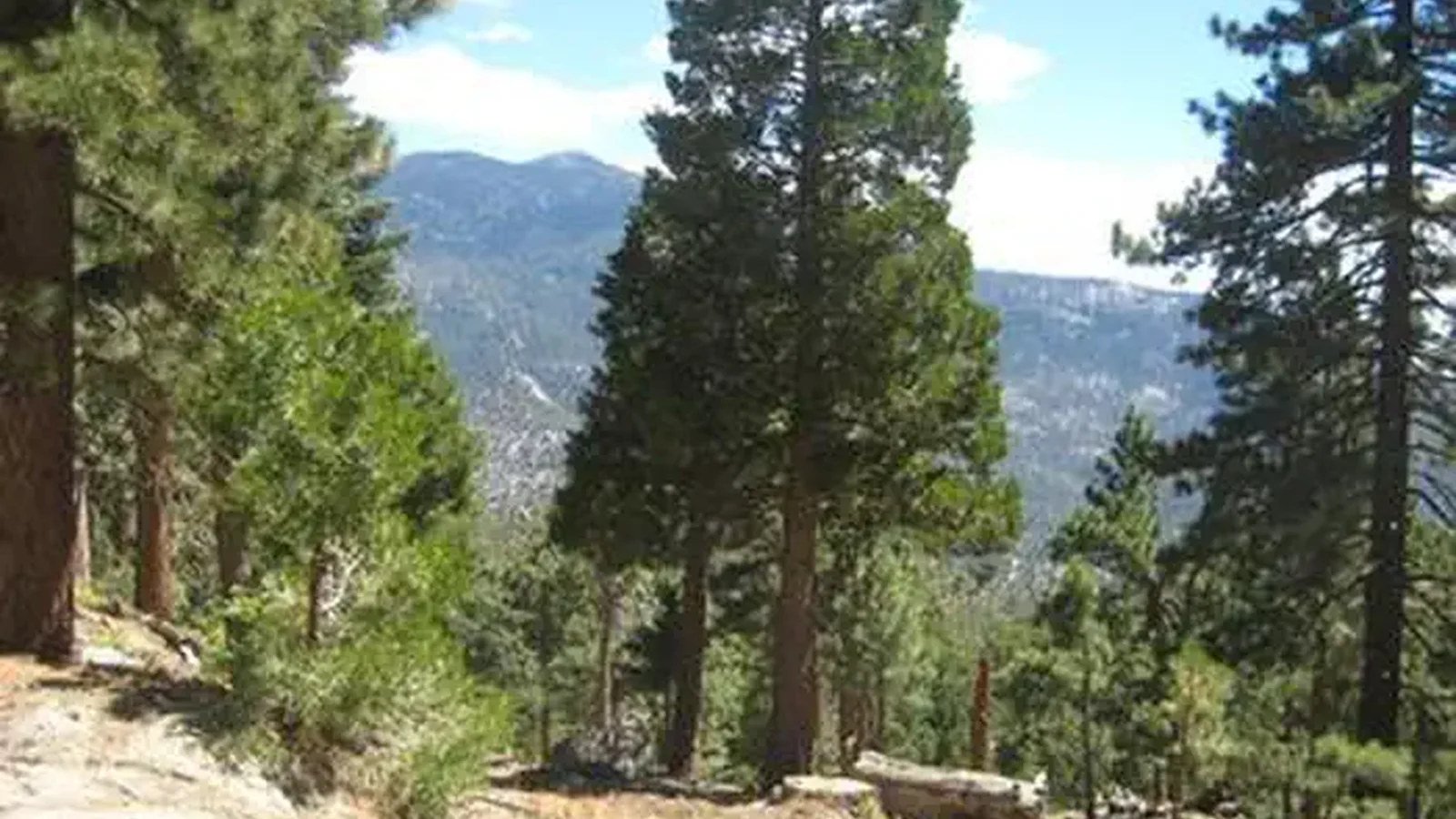 Down slopping hill with trees.
