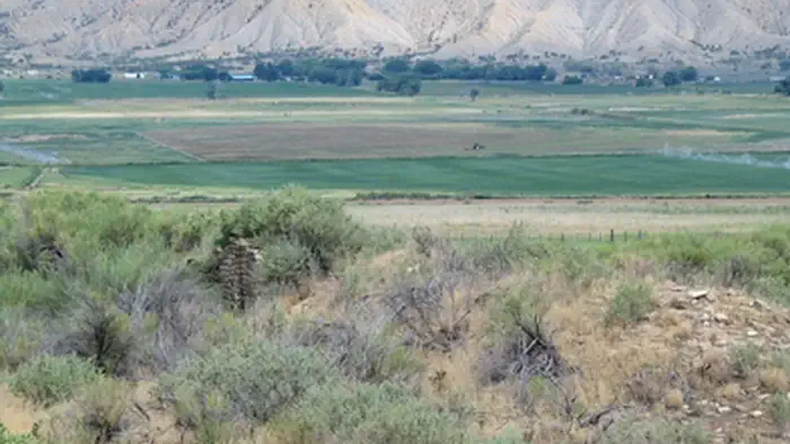 Yucca House in Context