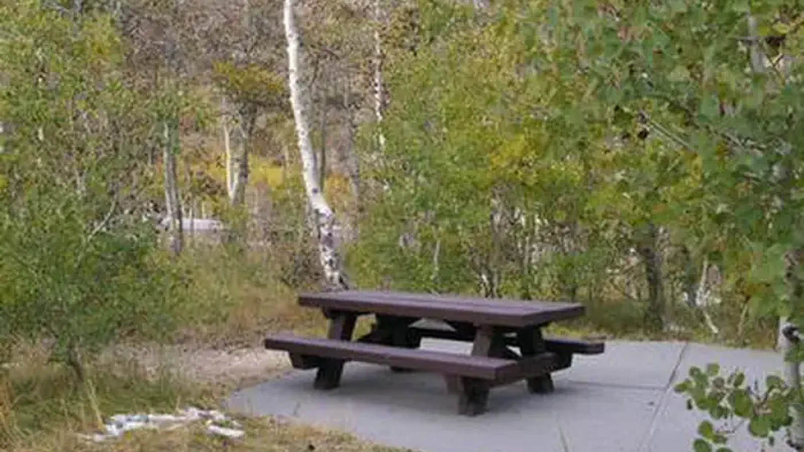 TERRACES CAMPGROUND - PICNIC AREA