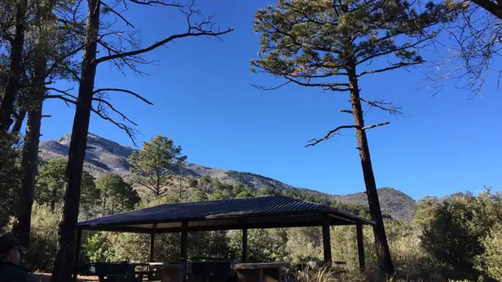 Bright blue skies over a large covered ramada surrounded by trees