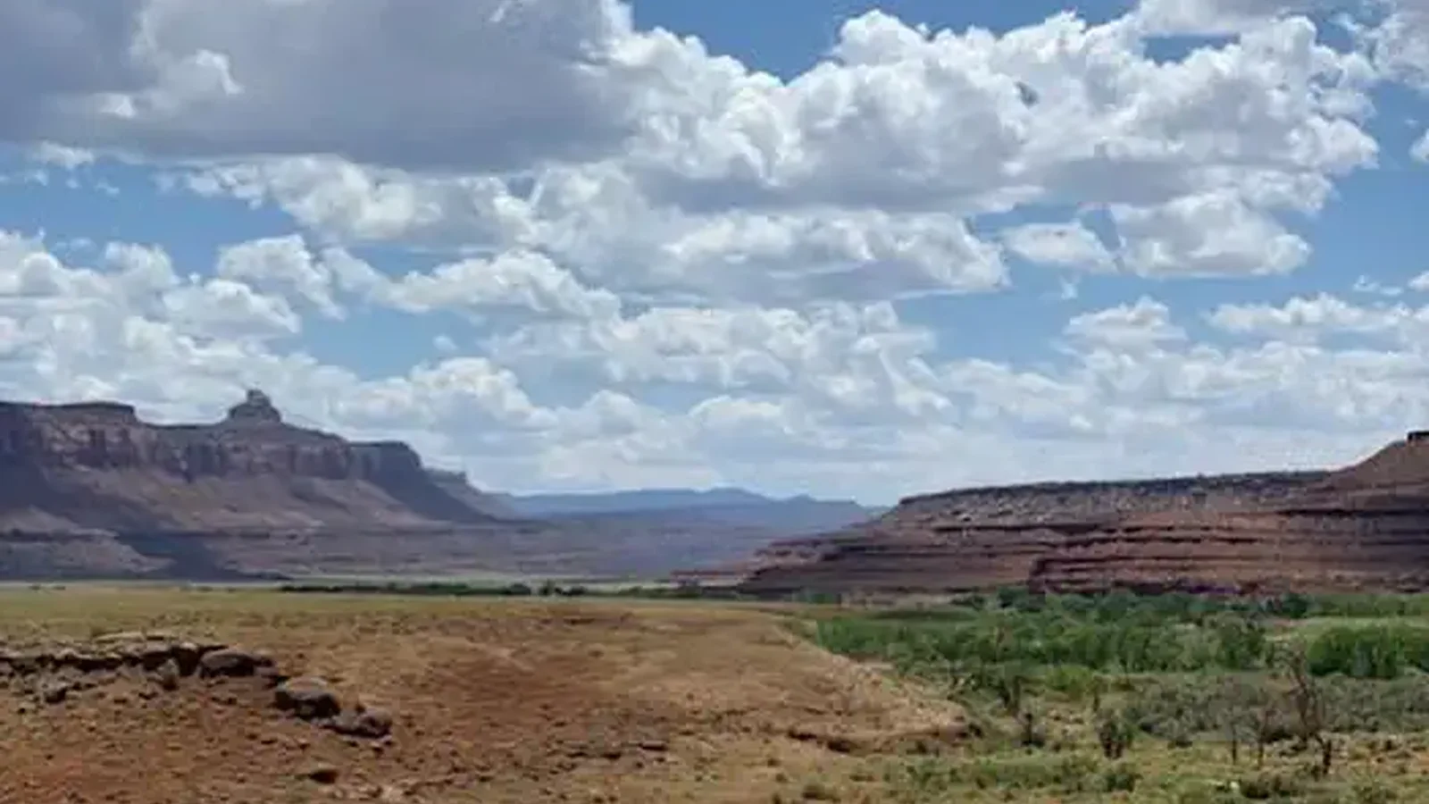 Over view of Superbowl group site
