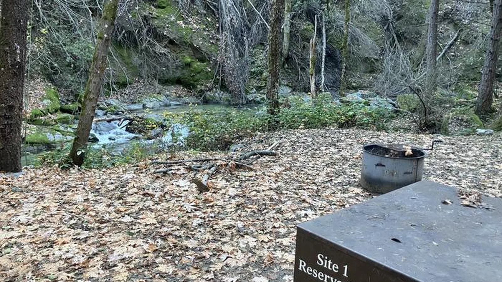 Site 1 Crystal Creek Primitive Campground