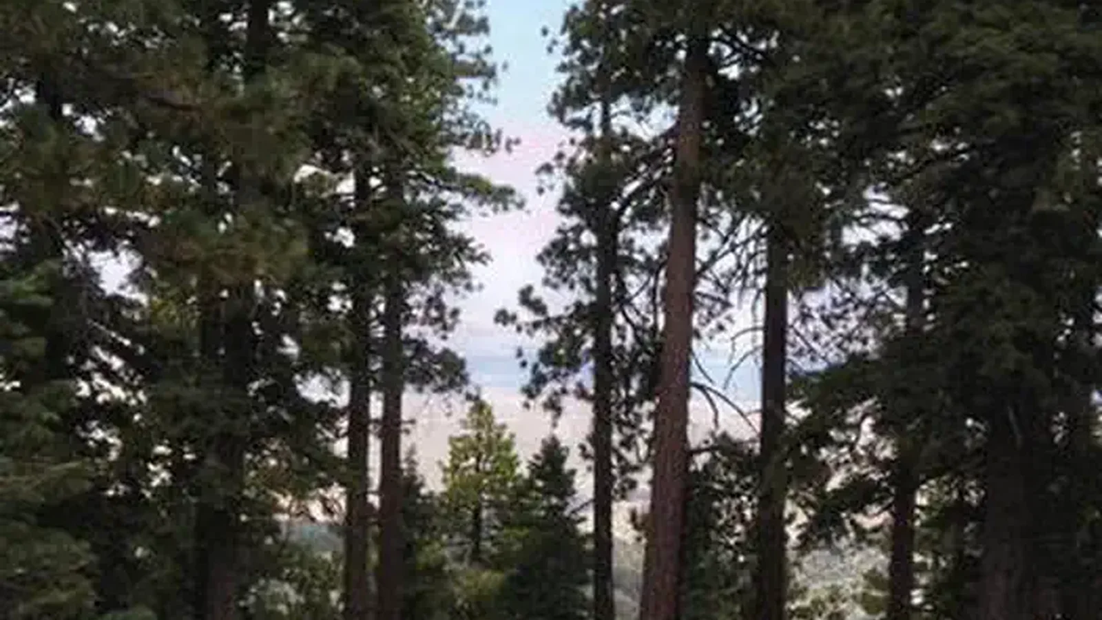 JACKSON FLATS
