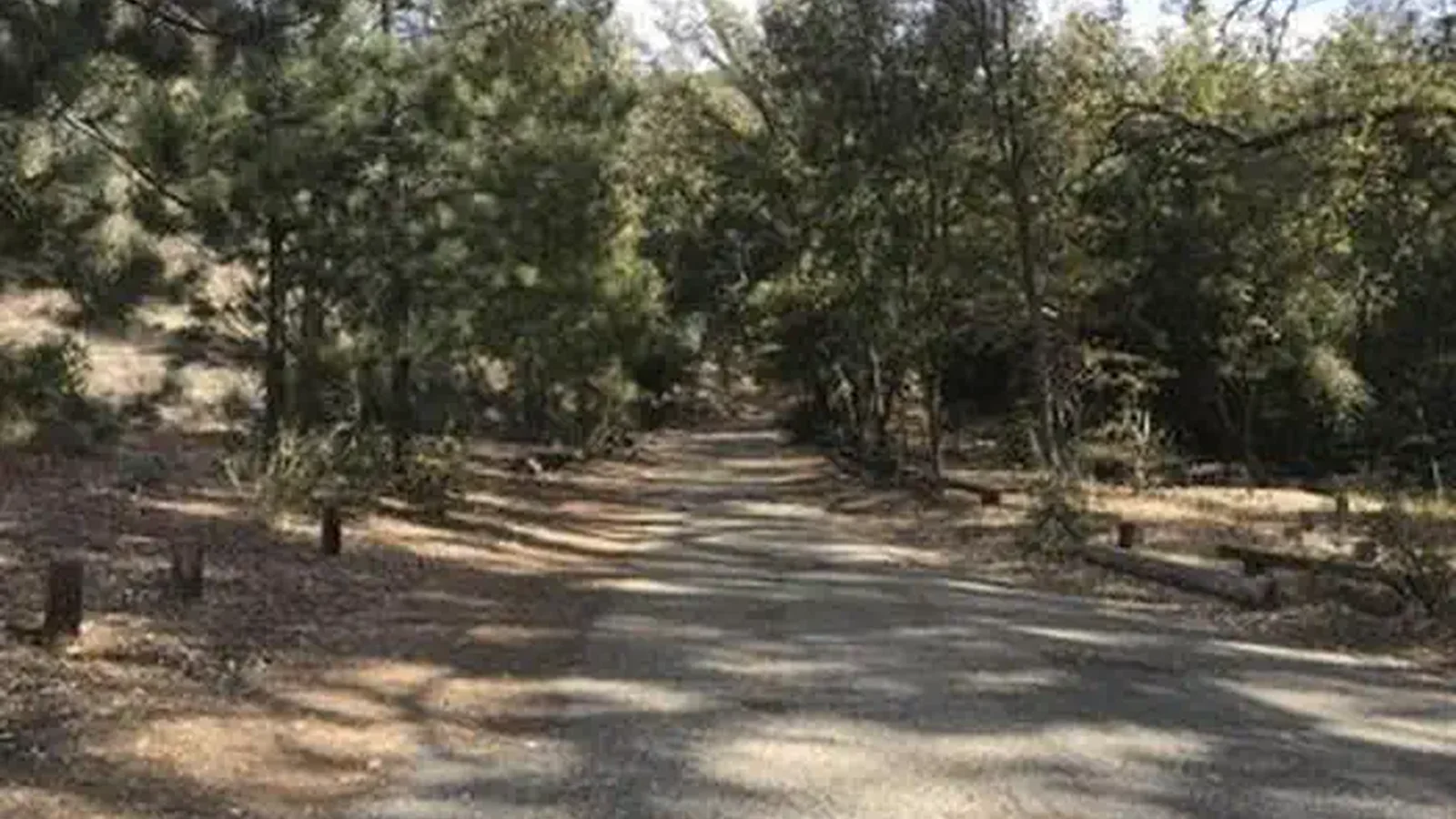 DAVY BROWN CAMPGROUND