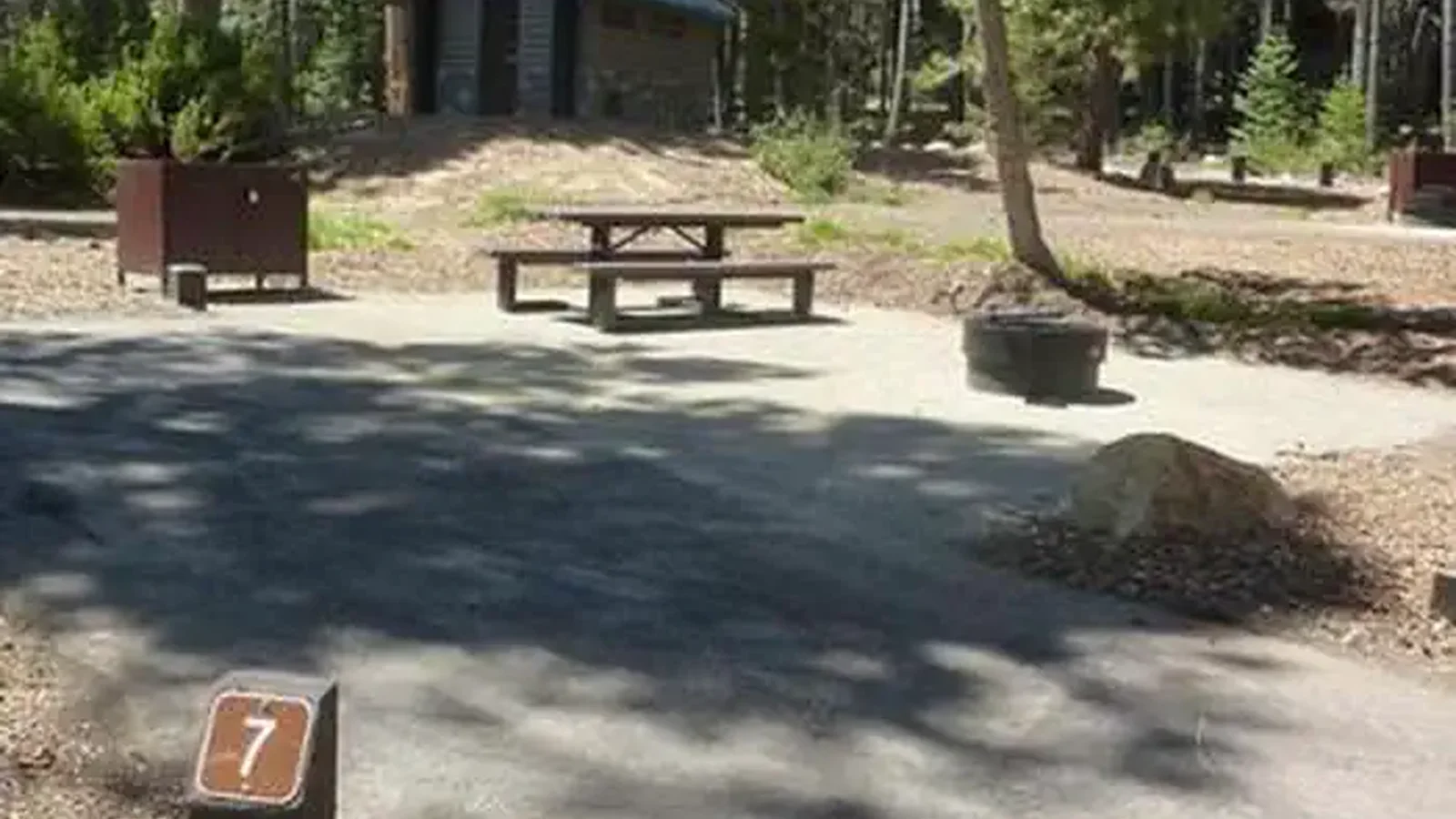 COLLEGE site 7