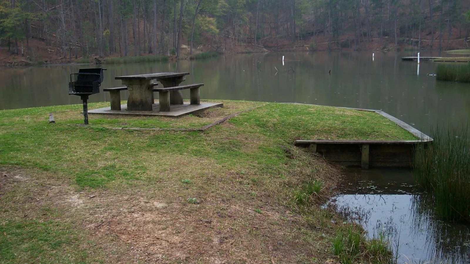 Picnic Site