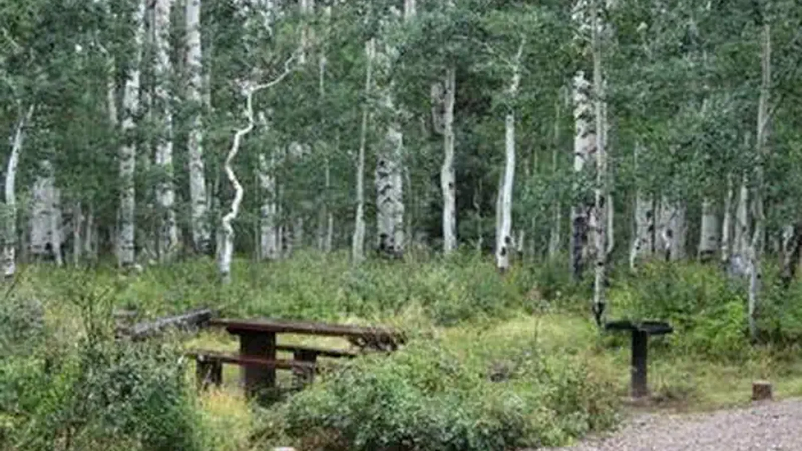 Warner Lake campsite