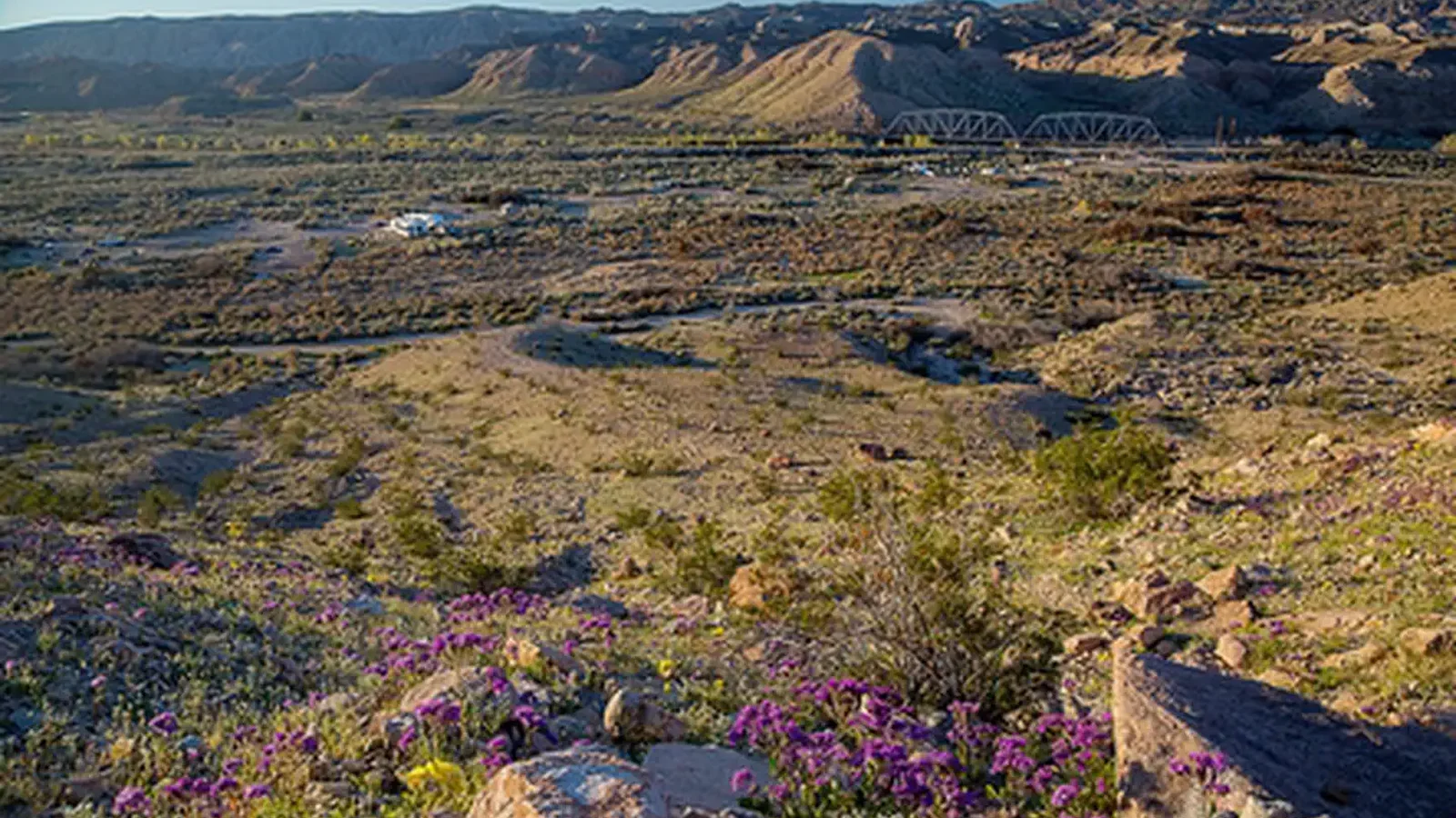 Afton Canyon within the Mojave Trails Naitonal Monument