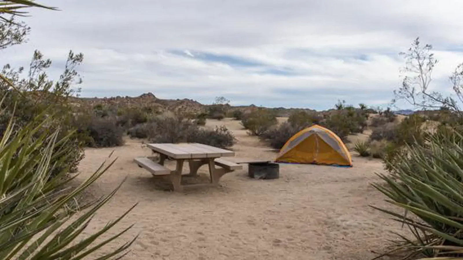 Cottonwood - CA