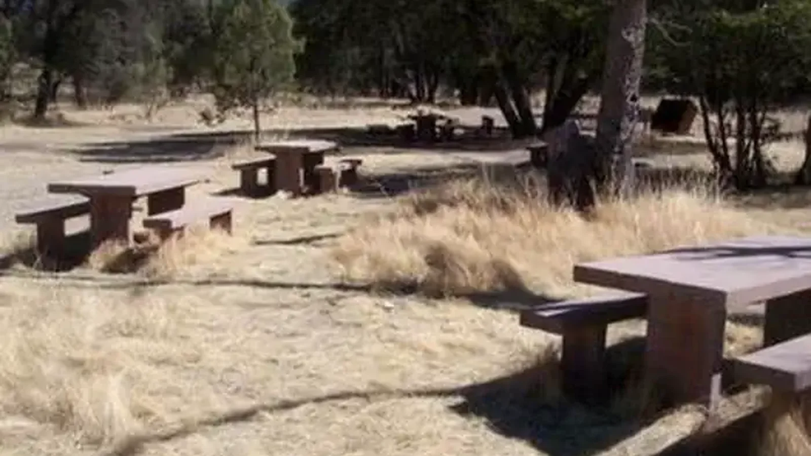 CAMP RUCKER GROUP SITE