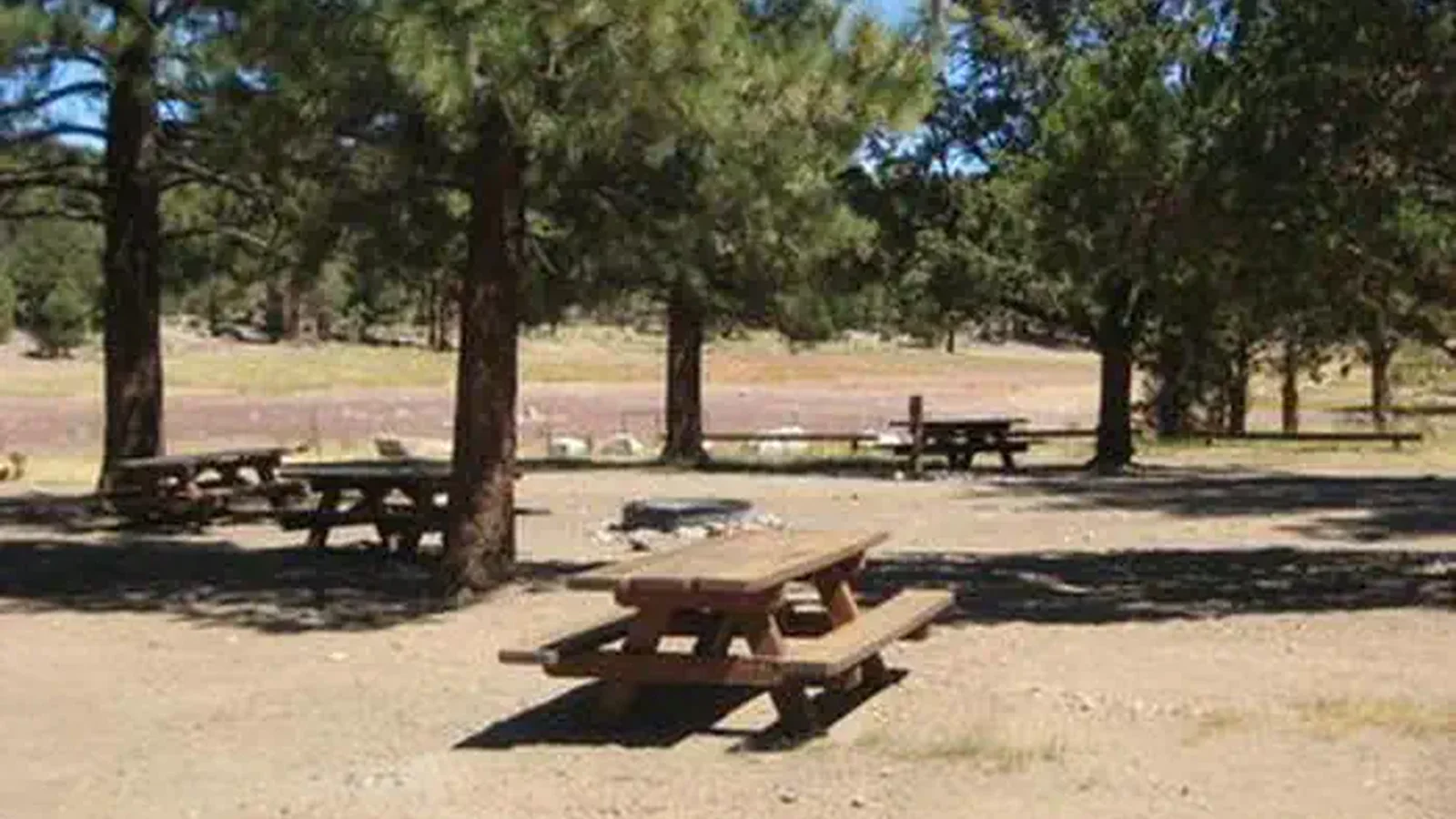 Juniper Springs Group Campground picnic tables