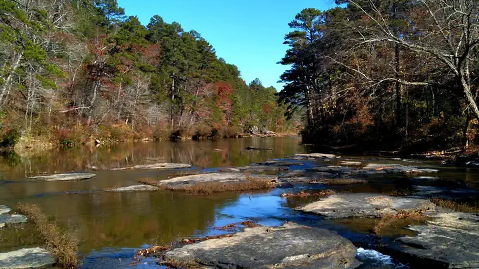 Ozark National Forest