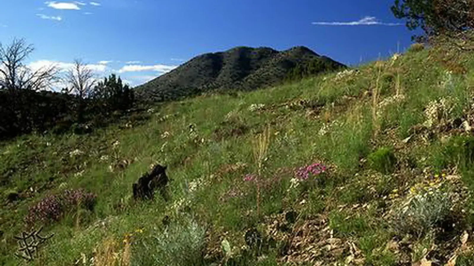 Cerrillos Hills State Park