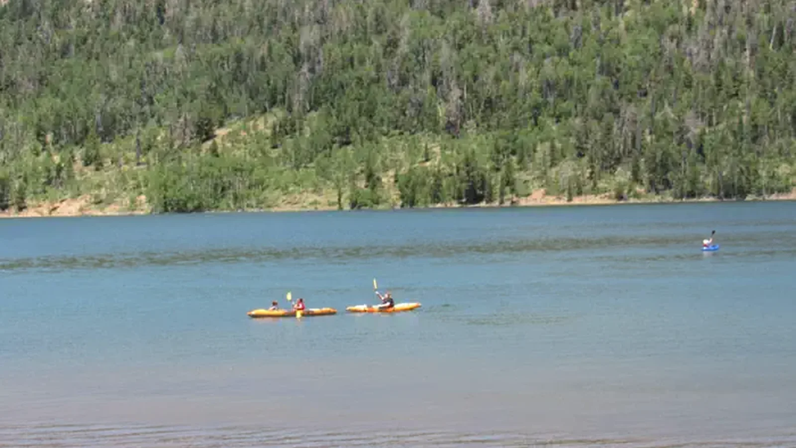 Don't forget your Kayak!