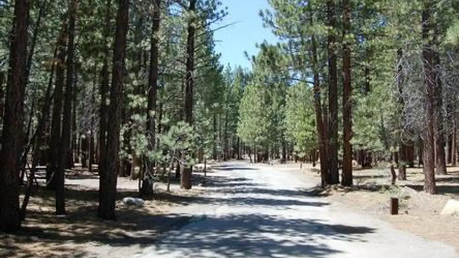 OLD SHADY REST CAMPGROUND