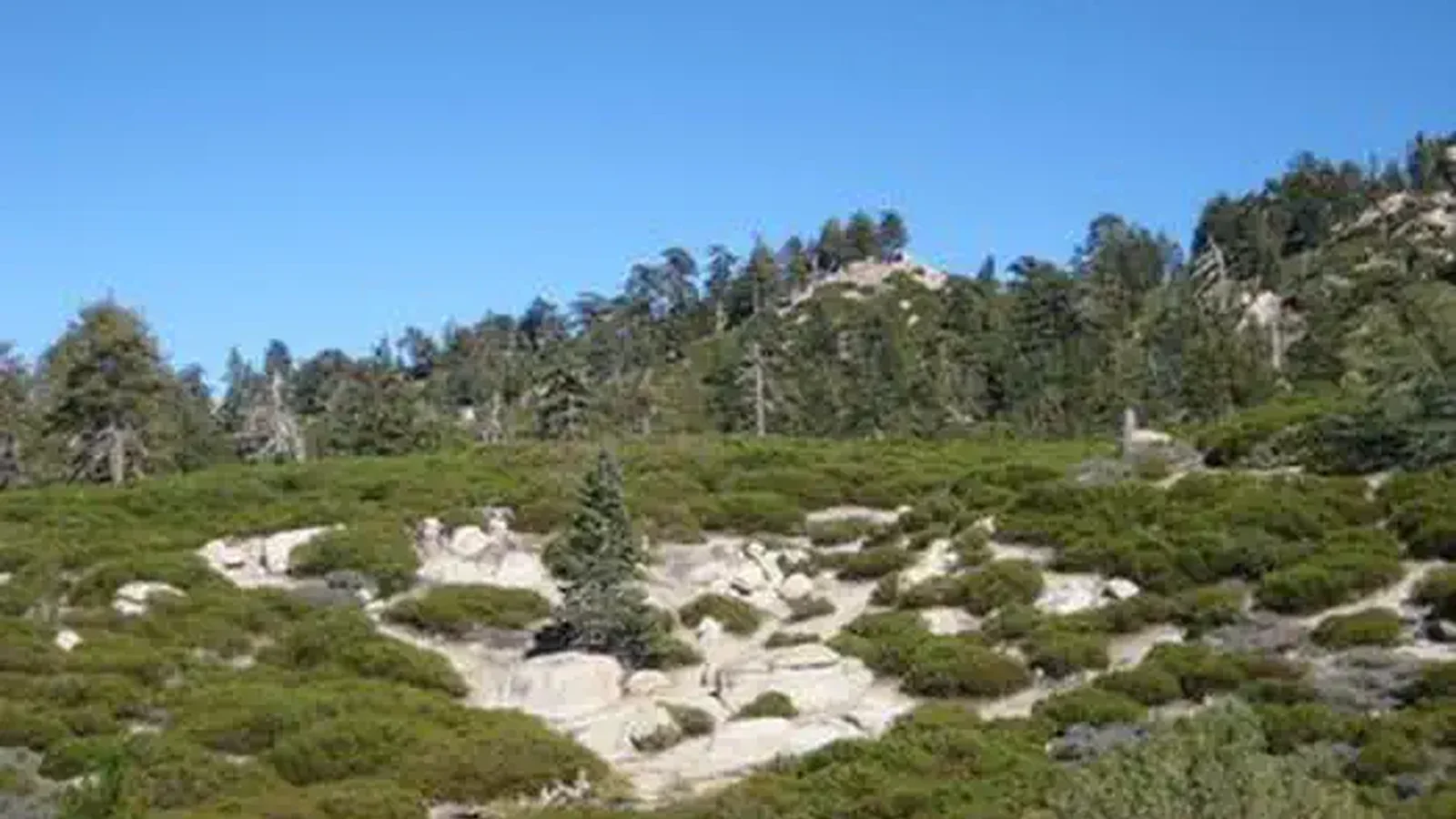View from Shady Cove Group Campground.