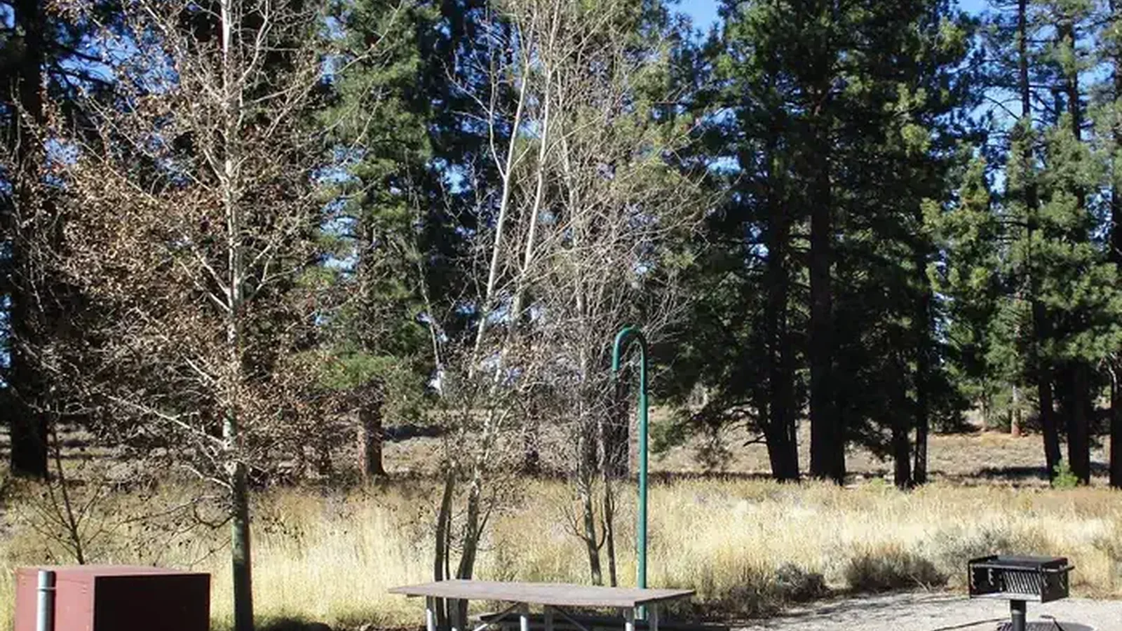 Campsite Features