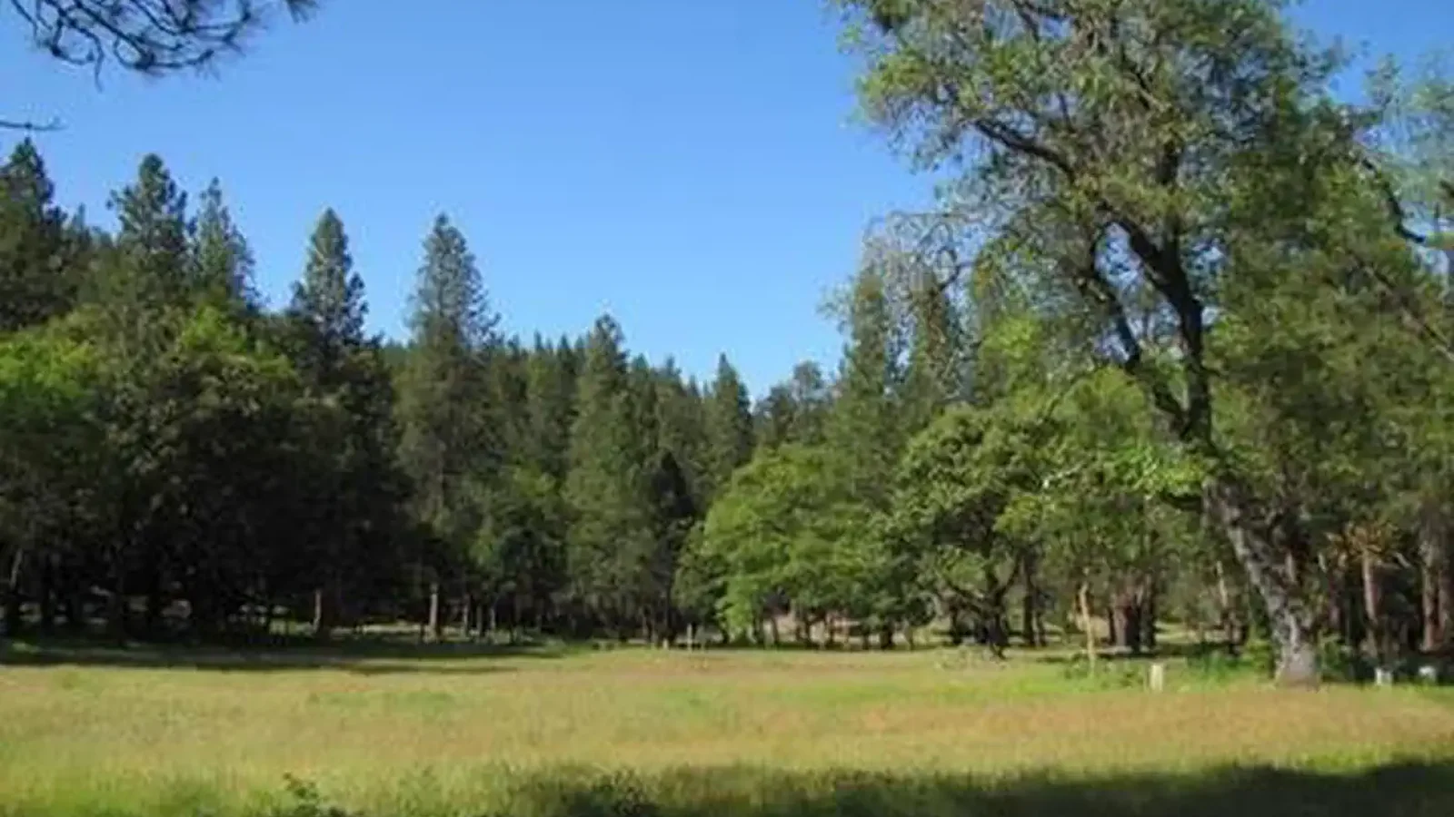 FLUMET FLAT GROUP CAMPGROUND
