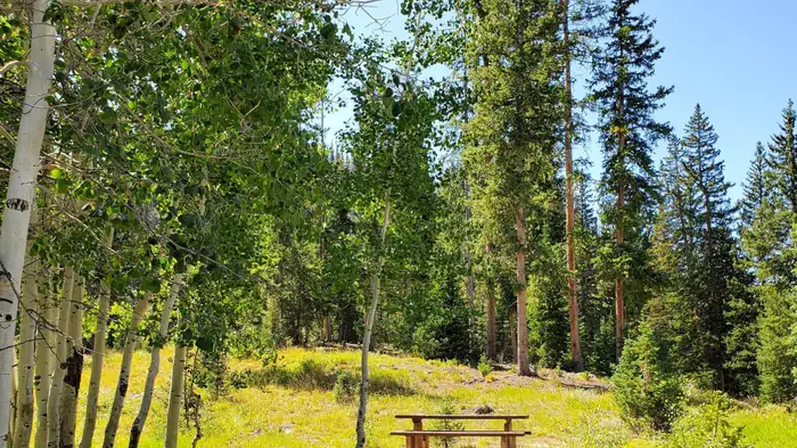 Flat Canyon Campground