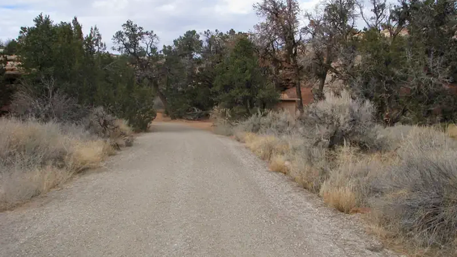 Drive way leading into the group site.