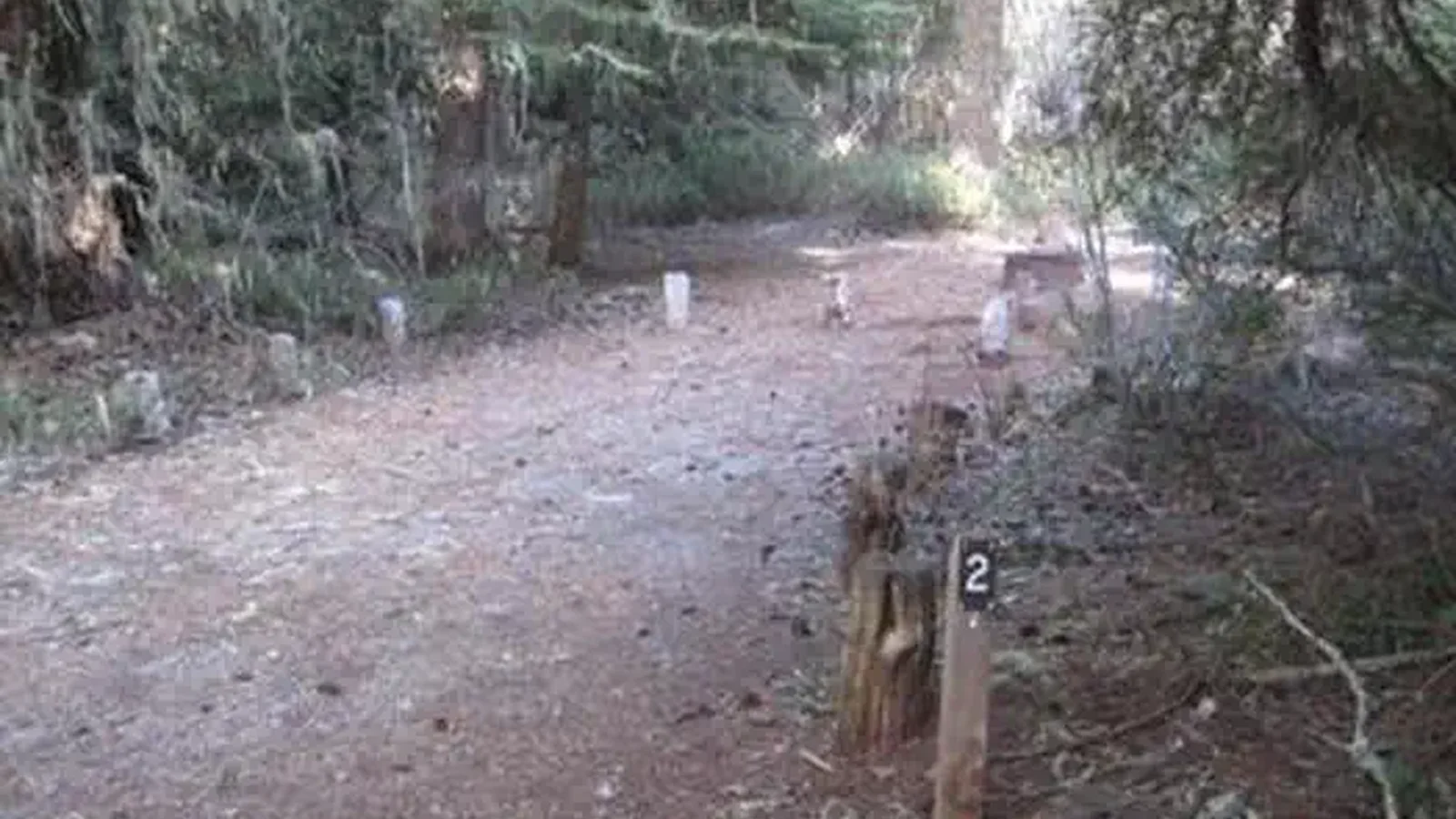 NORTH FORK CAMPGROUND (OR)