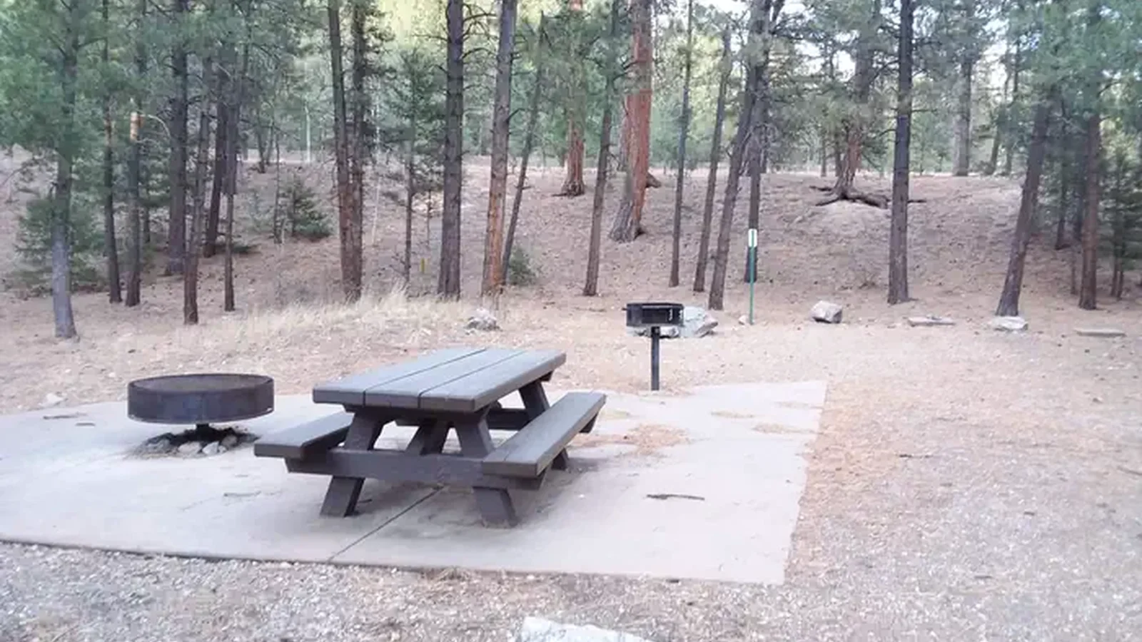 Site 14