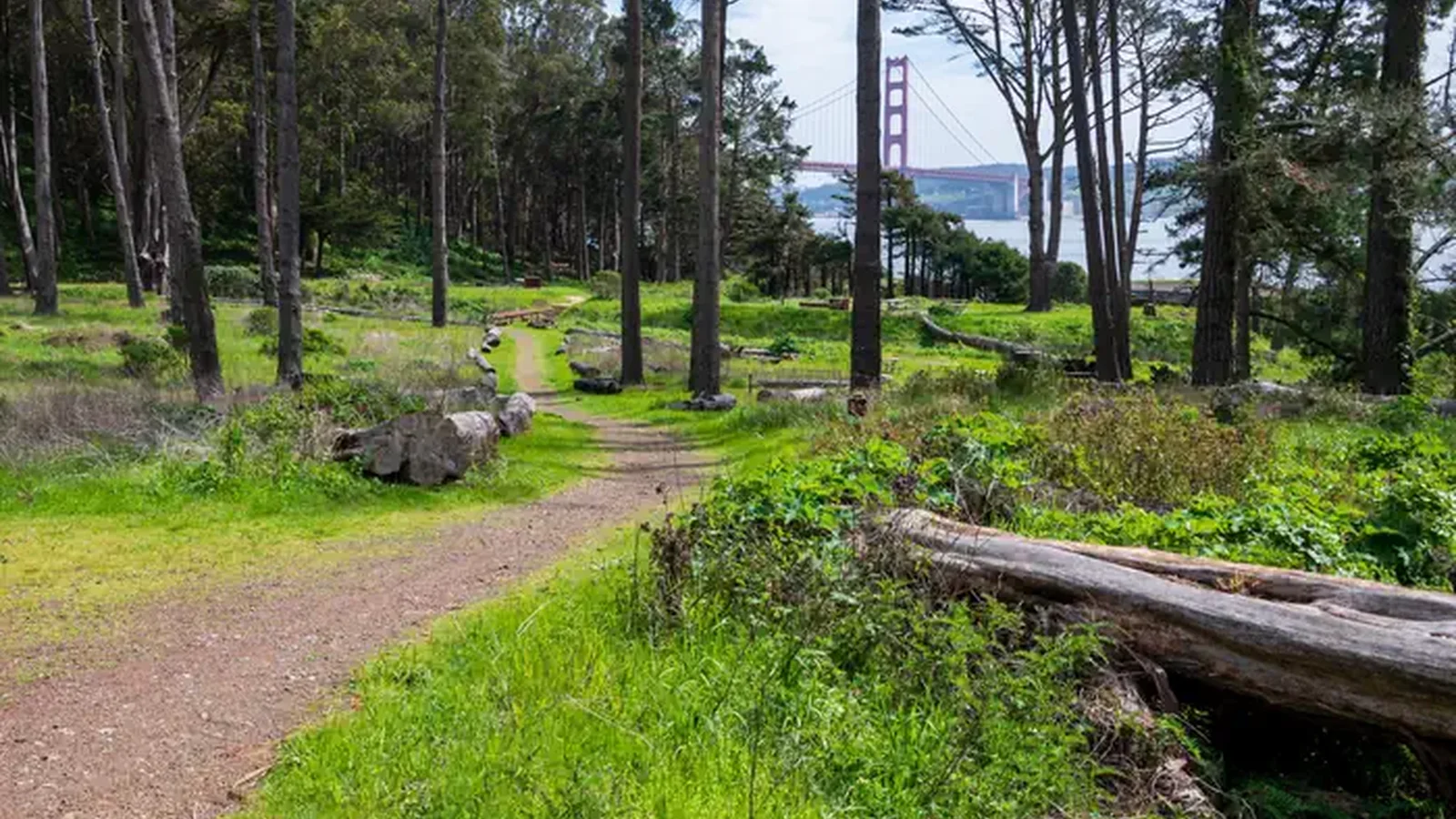 Dirt path leading through Kirby Cove Campground. Through the tall trees, there is a view of the Golden Gate Bridge.