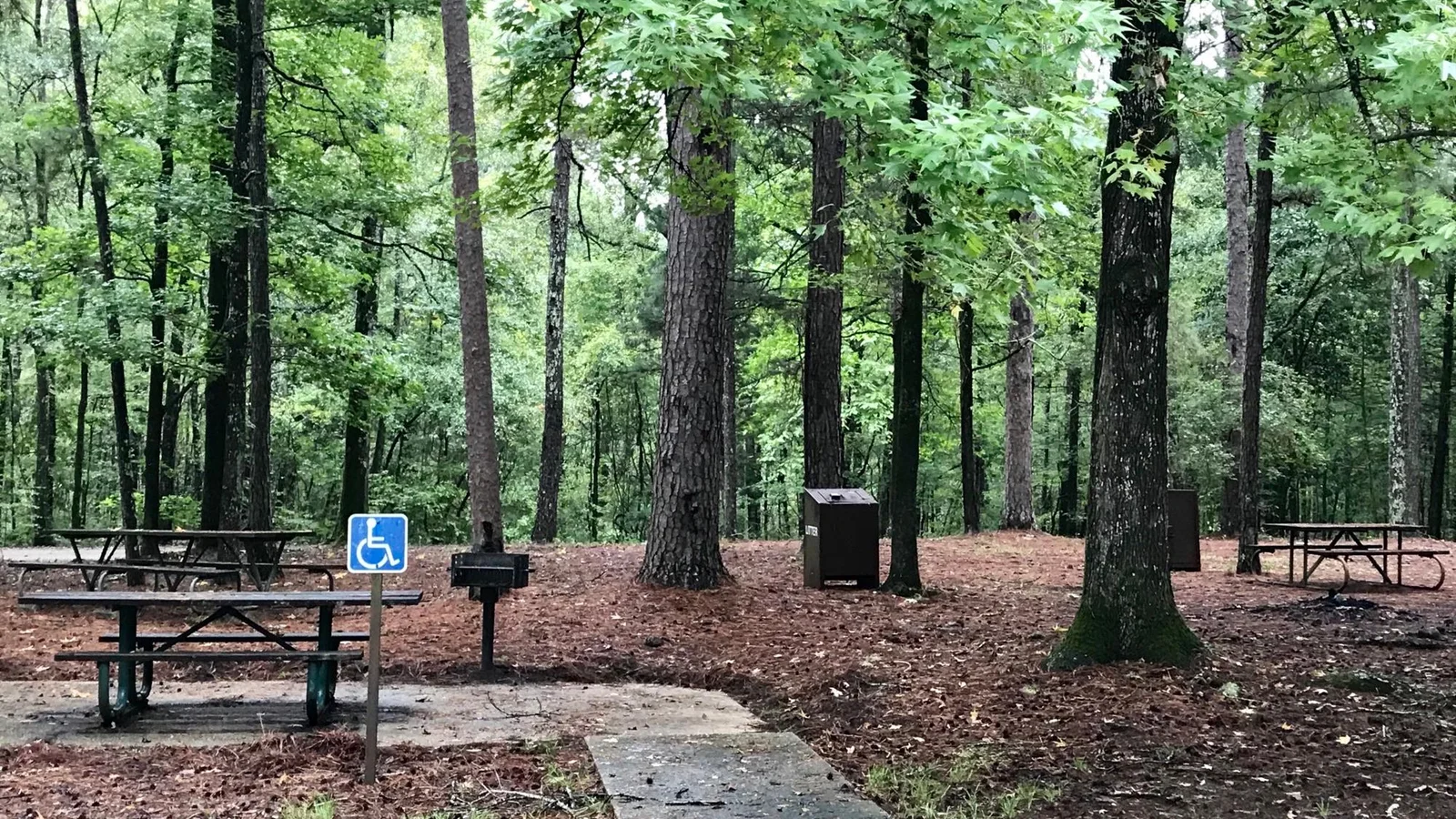 Accessible Campsite
