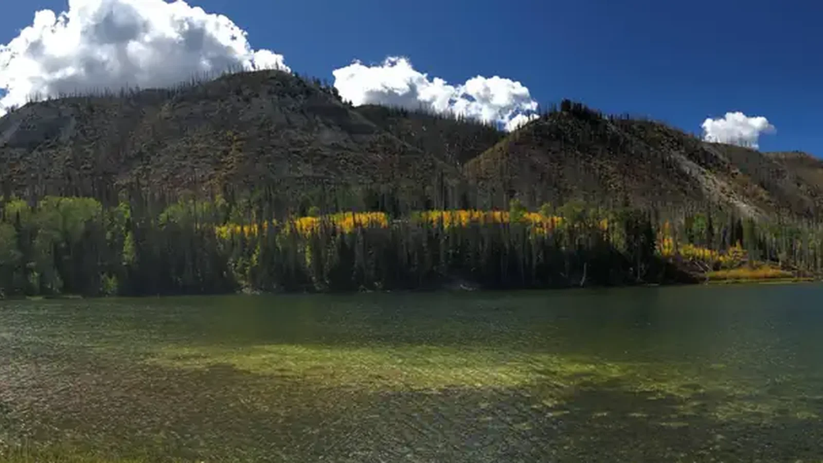 Willow Lake