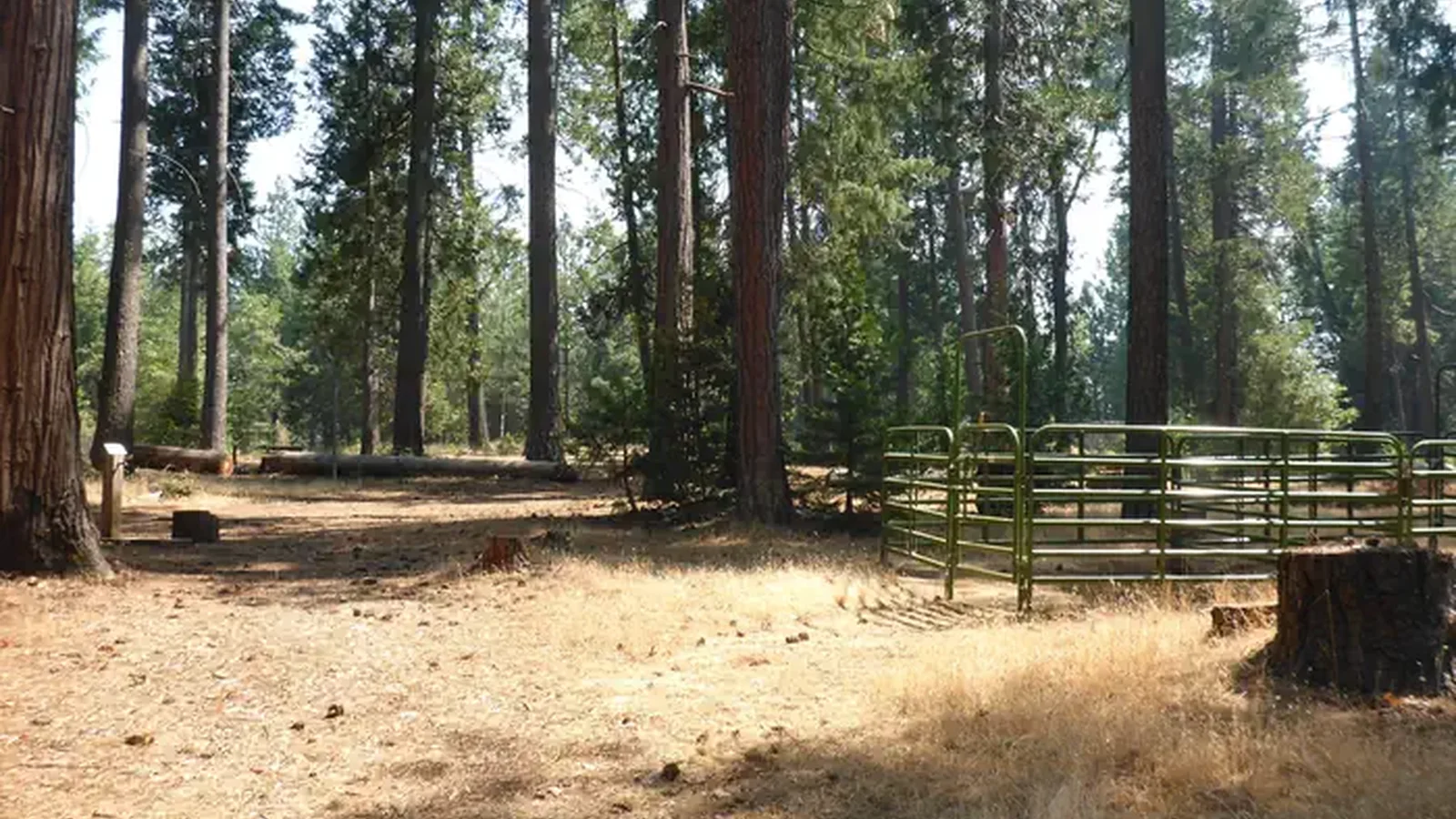 Double horse corrals