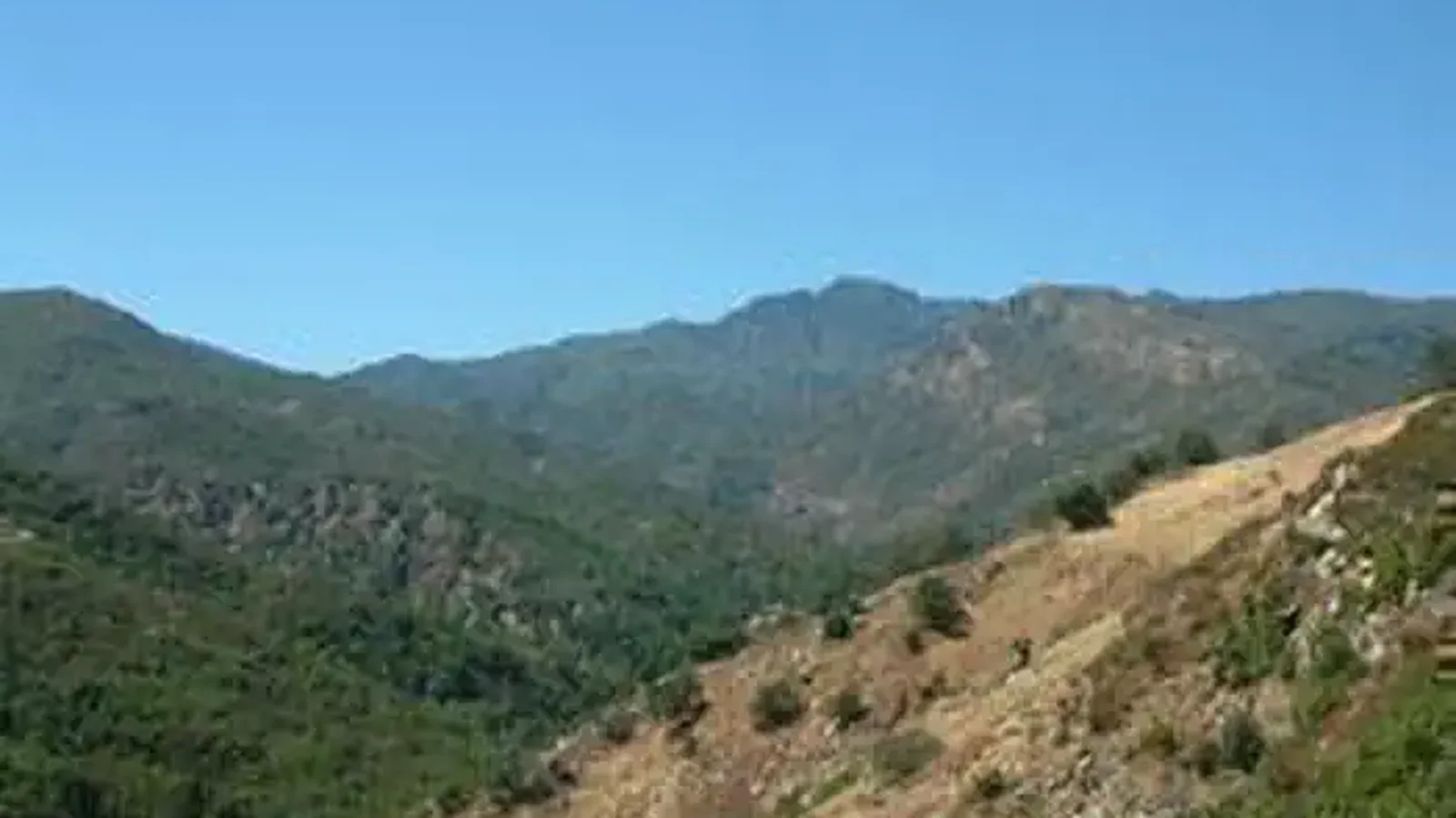 Ventana Wilderness