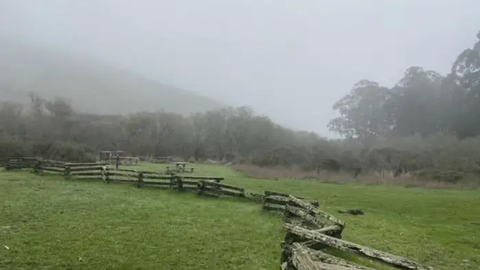 A green meadow with a fence running through it, food lockers and picnic table in distance.