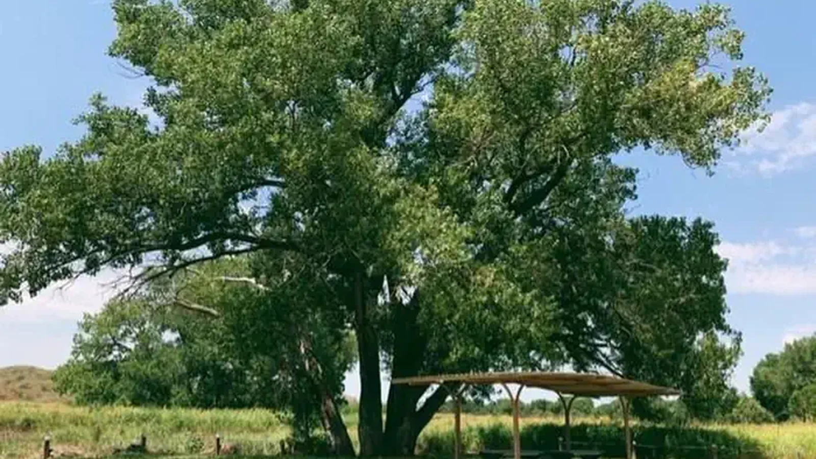 Plum Creek Campground
