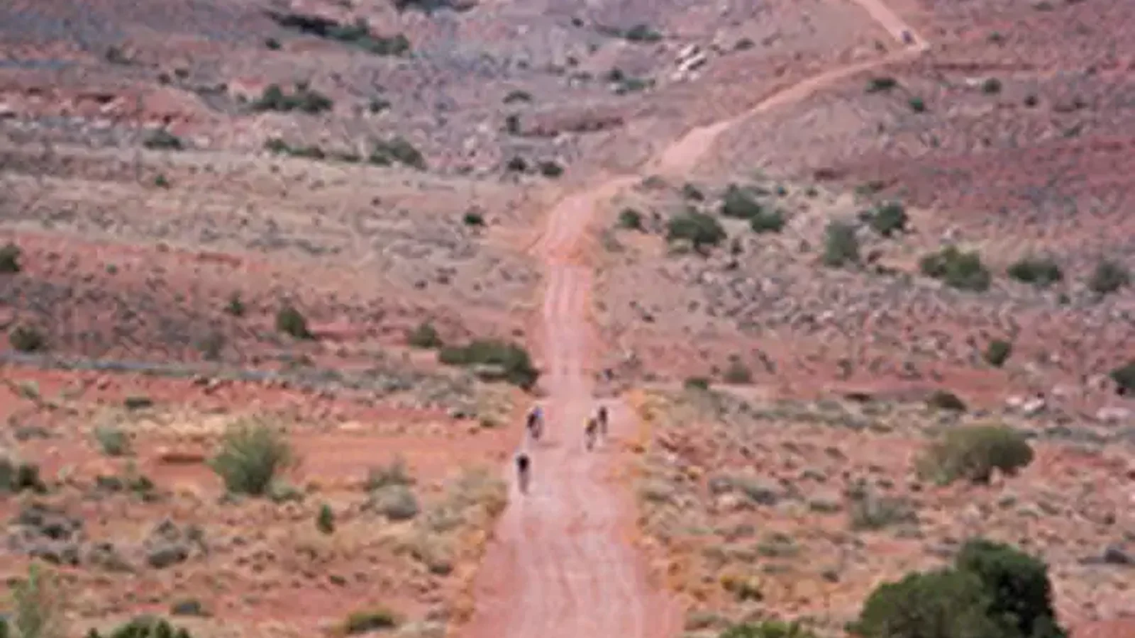 White Rim Road