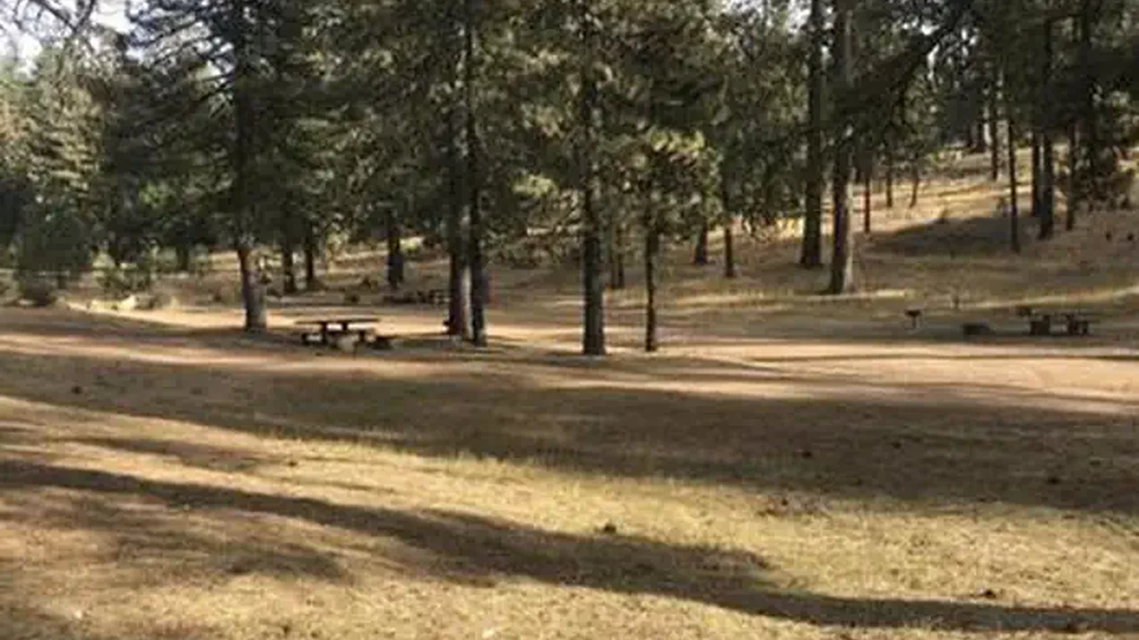 PINE MOUNTAIN CAMPGROUND